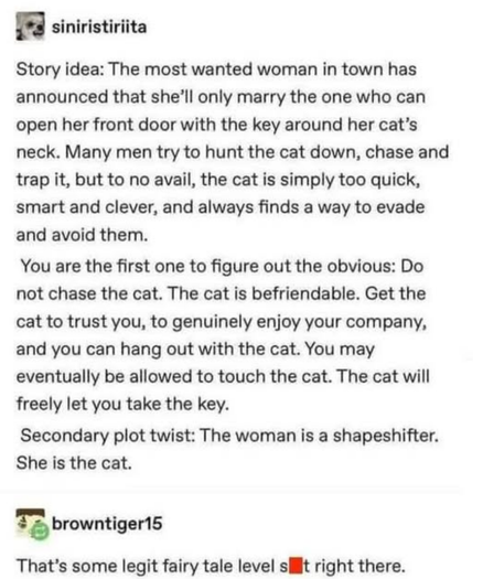 siniristiriita 

Story idea: The most wanted woman in town has 
announced that she'll only marry the one who can 
open her front door with the key around her cat’s 
neck. Many men try to hunt the cat down, chase and 
trap it, but to no avail, the cat is simply too quick, 
smart and clever, and always finds a way to evade 
and avoid them. 
You are the first one to figure out the obvious: Do 
not chase the cat. The cat is befriendable. Get the 
cat to trust you, to genuinely enjoy your company, 
and you can hang out with the cat. You may 
eventually be allowed to touch the cat. The cat will 
freely let you take the key. 
Secondary plot twist: The woman is a shapeshifter. 
She is the cat. 

--=--

browntiger15

That's some legit fairy tale level slit right there.