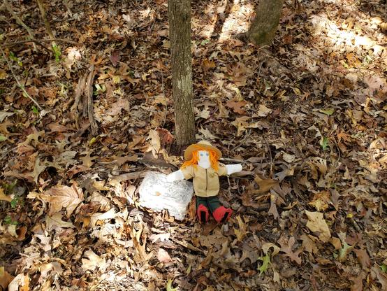 Ranger Sarah found a Geocache along the Thong Tree Trail in the Little Sac Woods Conservation Area.
— at Little Sac Woods Conservation Area.