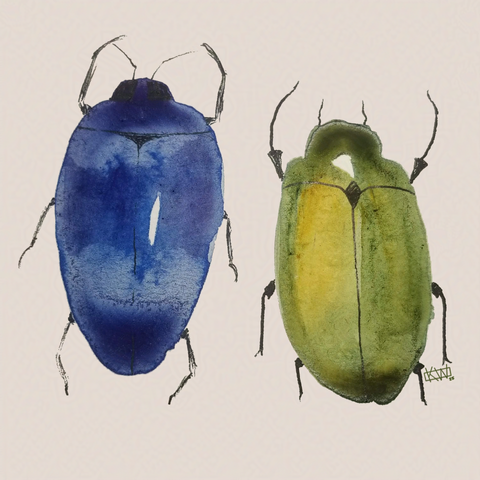 2 watercolor beetles, one blue & one green, are having a fun day hanging out together.