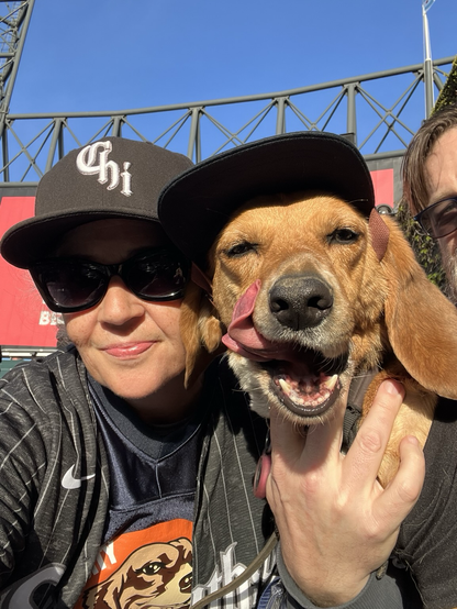 A baegle with her tongue out and a white woman wearing sunglasses and a black baseball cap with the letters CHI in gothic script