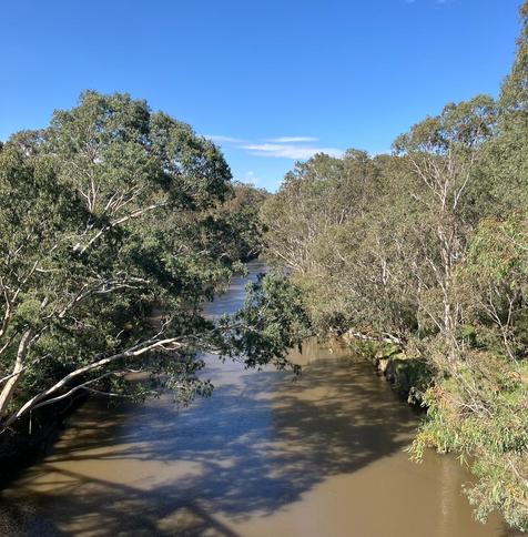 the view looking down on a wide river flanked by gum trees
