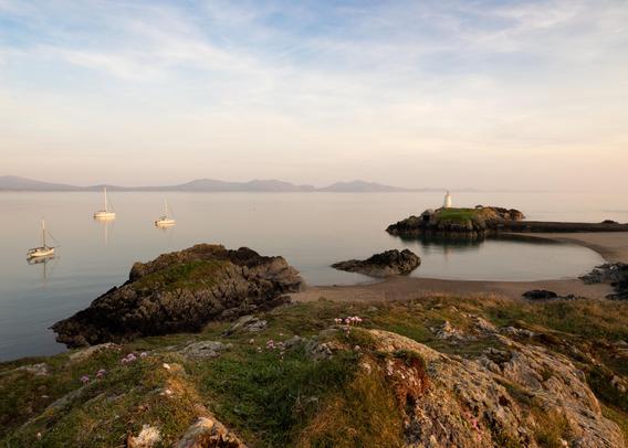 A photo taken looking across a rocky cove. In the foreground are pink flowers growing out of a rocky hillock in the mid ground are three boats moored in a calm sea. To the right is a stone causeway which crosses to a rocky island with a white painted lighthouse. On the horizon across the water are a distant mountains.