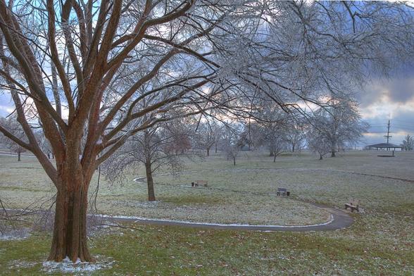 A serene landscape features a winding path through a frosty park, with trees dusted in snow.