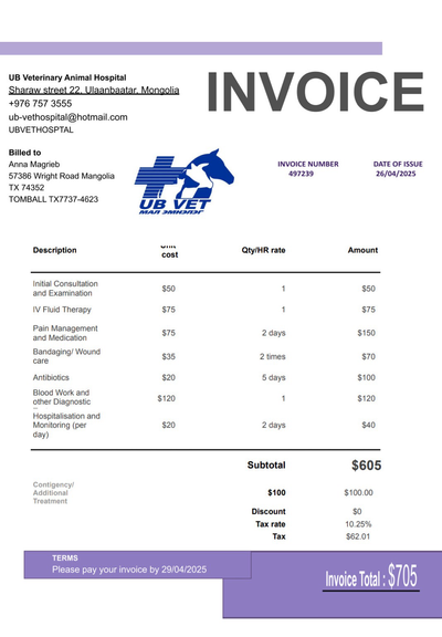 Medical invoice
