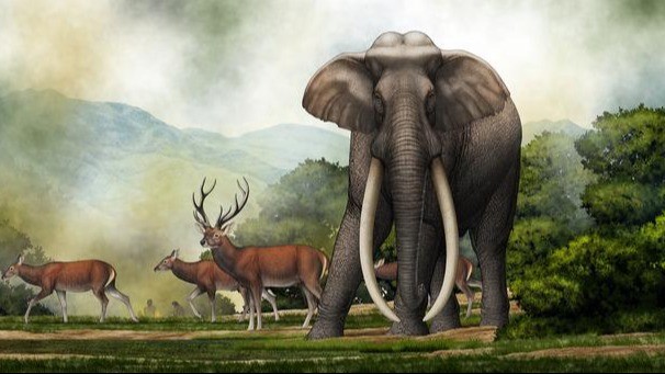 Palaeoloxodon turkmenicus