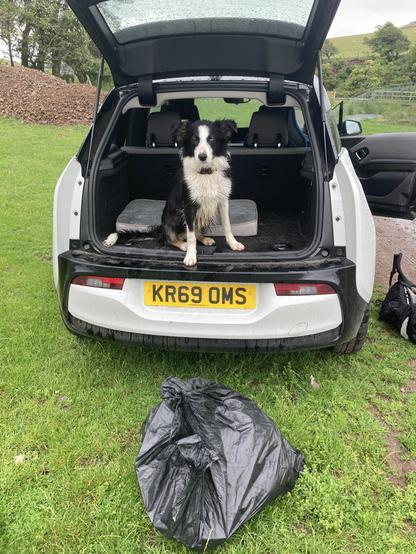 PHOTo. A dog stit in the back of the car observing a bin bag full of emptry cans and bottles recovered