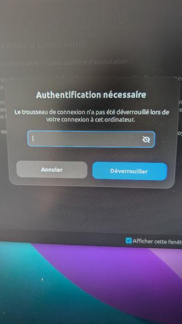 Capture d'écran de l'invite pour authentification.