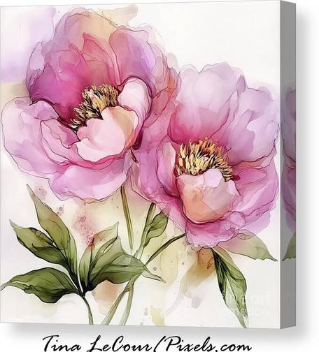 This is a canvas print of some pretty pink peony flowers with a watercolor effect against a white background.