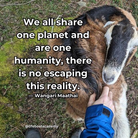 A social post from @lifeboatacademy which says: We all share one planet and are one humanity, there is no escaping this reality. - Wangari Maathai