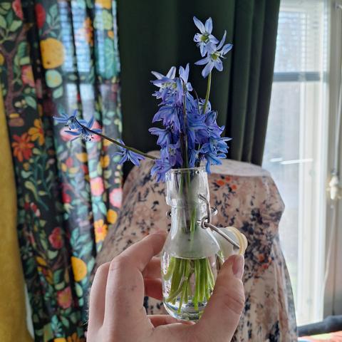 a small bottle with blue alpine squills flowers in it