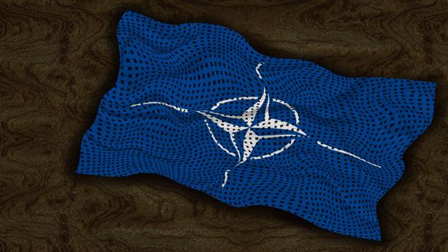 What Is the Future of NATO?