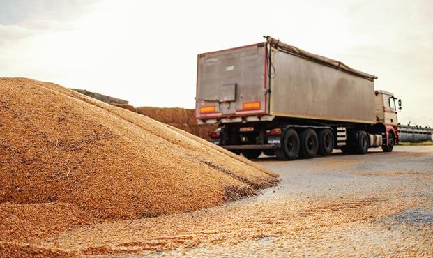 New contract lows as weather again weighs on markets