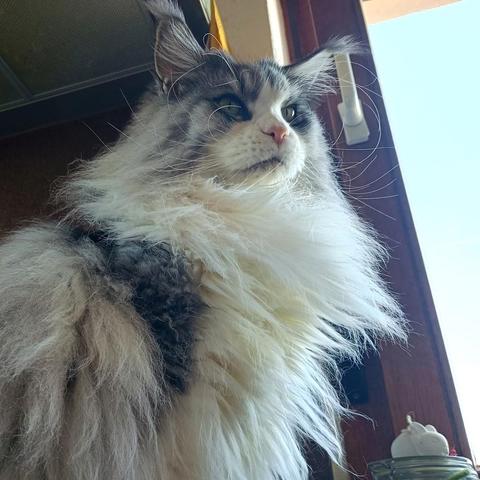 wilma listening to shoegaze