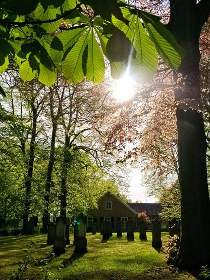 In front of me is a grassy area with a few gravestones. They are very old and dark. A little further away you can see a red brick building. The small cemetery is surrounded by tall trees. The leaves of a chestnut tree protrude into the picture from above. Behind them, the sun shines through the red leaves of another tree. A peaceful place.