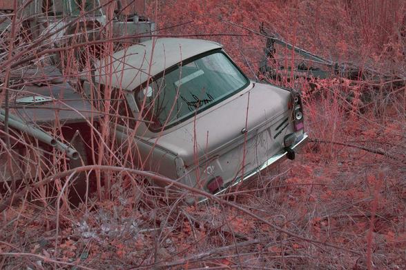 photo of an old car abandoned in the undergrowth which appears pink due to to the shot being 550nm infrared. The car has lost its tail lights and tires.