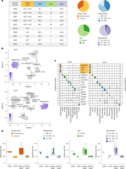 Human subcutaneous and visceral adipocyte atlases uncover classical and nonclassical adipocytes and depot-specific patterns