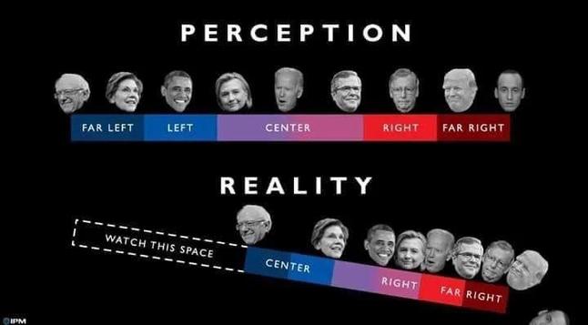 Hay dos barras marcadas con "far left", "left", "center", "right" y "far right". 

Aparece la palabra "perception" sobre la primera barra y vemos caras como Bernie Sanders (sobre far left), Obama (sobre left), Hilary Clinton o Joe Biden (sobre center) o Trump (sobre far right). 

Bajo tenemos la palabra "reality" y la misma barra está inclinada a la derecha, de forma que sobre la parte de "far left" no hay nadie y todos aparecen desplazados a la derecha, como cayendo por el borde: Sanders sobre center, Obama sobre right, Biden en far right, Trump cayendo desde el borde de far right, etc.