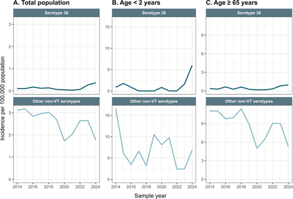 Increasing incidence of serotype 38 invasive pneumococcal disease driven by the ST393 clone among children, Denmark 2022–2024