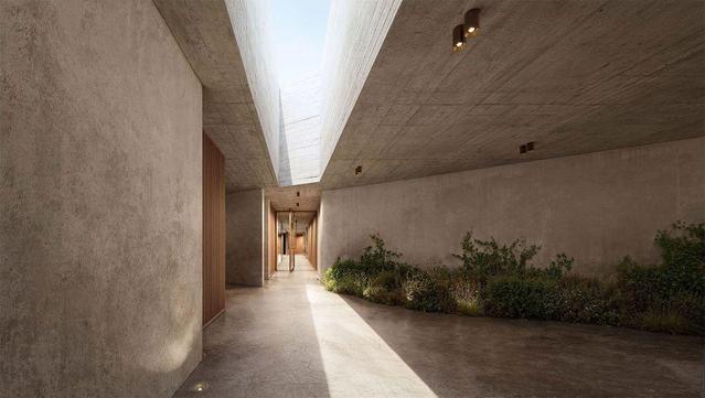 A modern corridor with textured concrete walls, skylight, wooden accents, and lush greenery along the floor, creating a tranquil ambiance.