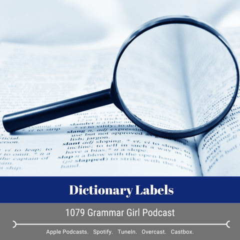 A close-up image of a magnifying glass resting on an open dictionary or reference book with visible text entries. The page shows dictionary definitions, with the word "slant" partially visible. At the bottom of the image is a banner that reads "Dictionary Labels" and below that "1079 Grammar Girl Podcast" in light gray text. A decorative line separates this from the bottom section listing podcast platforms: "Apple Podcasts. Spotify. TuneIn. Overcast. Castbox."