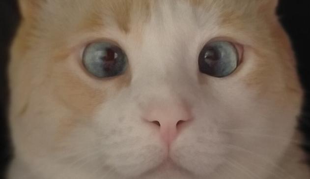 Super close up. Fariña's face occupies the whole picture