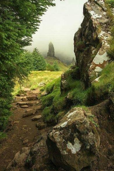 Green pathway and Rocks.