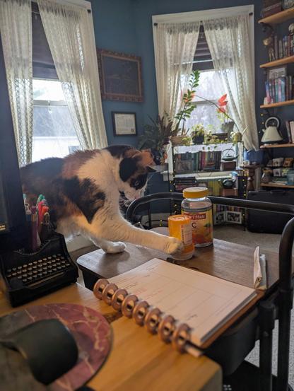 The picture is of a calico cat pushing pill bottles of a desk.
