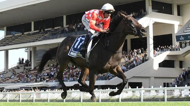 Racing superstars promise music and words for top Kiwi trainers