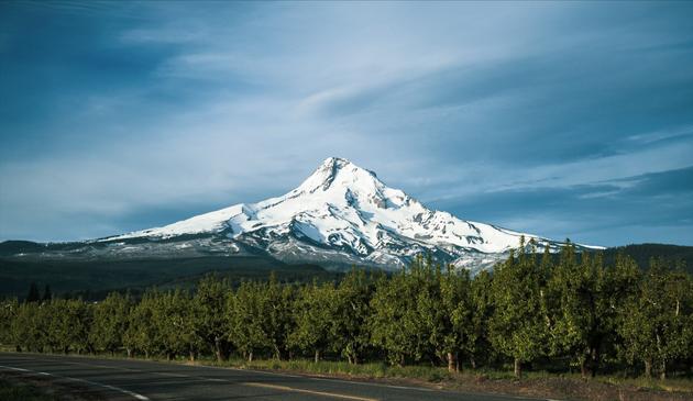 A glorious white glaciated mountain peak rises within a partially cloudy blue sky, green trees in a ribbon along the bottom of the photo photo next to a road.