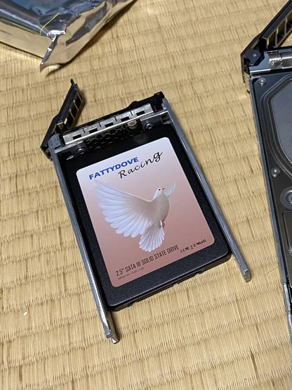 A photo of a 2.5" SATA SSD in a Dell drive caddy. The drive has a photo of a dove on it and the text "FATTYDOVE Racing" "2.5" SATA III SOLID STATE DRIVE"