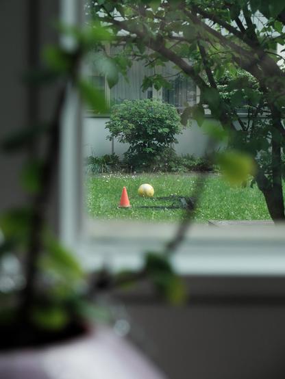 A view through a window showing a grassy yard with a yellow ball and an orange traffic cone near a hedge. The foreground includes out-of-focus leaves and a potted plant, while a tree branch frames the scene outside. The overall tone is calm and slightly moody, with soft, natural lighting.