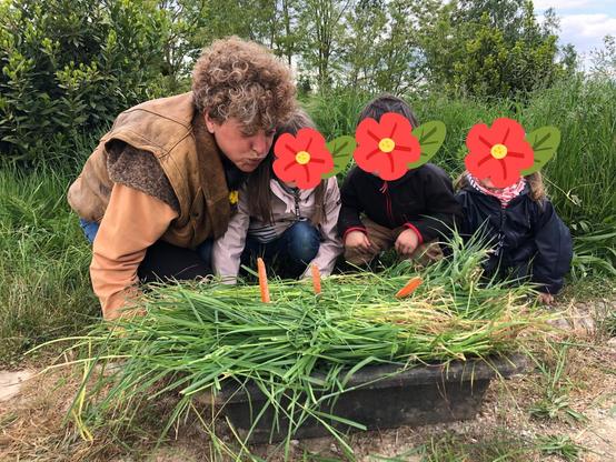 On a préparé un gâteau d'herbes vertes géantes avec 3 carottes en guise de bougie, pour les ânes