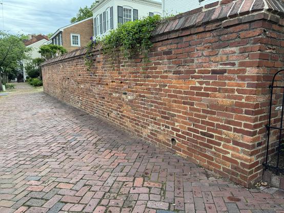 The image depicts a brick wall running along a cobblestone pathway. The wall is constructed from red bricks, with some mortar visible between them, and features a slight overhang at the top, where greenery is growing. The pathway is made of red and gray cobblestones, arranged in a herringbone pattern. In the background, there are houses with white and brown exteriors, and windows with white frames. The sky is overcast, suggesting a cloudy day. The wall appears to be part of a historic or older neighborhood, with a black metal gate visible on the right side of the image.

Provided by @altbot@fuzzies.wtf, generated privately and locally using Ovis2-8B

🌱 Energy used: 0.178 Wh