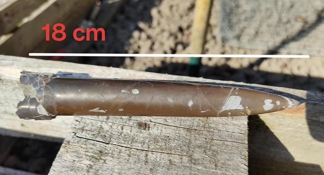 #sharedknowledge really does go along way. Feel free to pass it on when faced with the same #pauseforthought #fossiling question ⁉️ 

My specimen shown here is an excellent example of the belemnite known as Cylindroteuthis puzosiana. Featuring its characteristic elongated, bullet-shaped guard with fine preservation, they are rare at this size.

From the Oxford Clay Formation, Oxfordian stage of the #Jurassic period. Approximately 157-163 million years old.