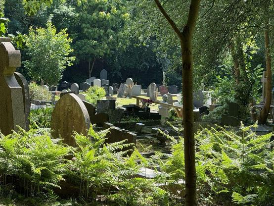 Le cimetière de Highgate