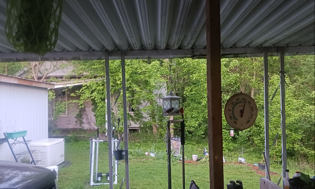 Red bird and a gray bird sitting on a bird feeder under a carport