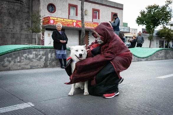 Fotografía a color de un perro blanco con su ojo derecho azul y el izquierdo negra quien una persona humana disfrazada de demonio con una máscara blanca con cuernos y una túnica roja y está agachade al nivel del perro a quien lo envuelve con la túnica. El perro tiene sus orejas agachadas y abre levemente su boca sacando un poco su lengua.

En el fondo se observa una señora recargada en el camellón y otras personas, y unos edificios.

©Sofía Dumat|CLAMOR DE LIBERTAD