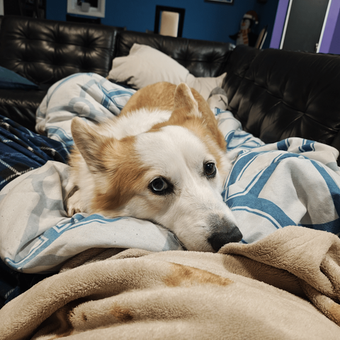 Cuddly guimauve
