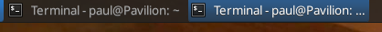 Screenshot of my XFCE taskbar, showing 2 terminal sessions running.