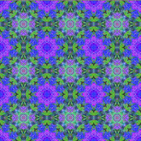 kaleidoscopic image