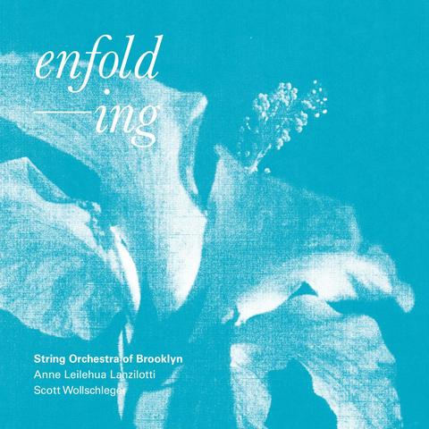 Cover of String Orchestra of Brooklyn's New Focus Recordings album "enfolding", featuring a graphic in blue of what looks like a flower.
