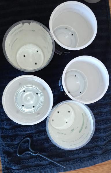 top-down photo of the 5 pot-noodle cups standing on the towel. now each of them has 3-5 holes in the bottom. there's the awl laying next to them