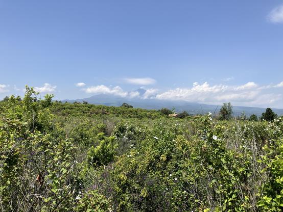 Mount Aetna seen from near Praiola. Unfortunately most of it is obscured by clouds.