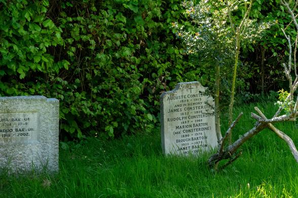 Two gravestones in a graveyard with a hedge behind and a rose tree growing in front of one. 
One gravestone has a cross at the top and reads:
Auguste Consterdine 1858-1913
And in memory of
James Consterdine 1852-1925
Rudolf Consterdine 1887-1968
Marion Barton (nee Consterdine) 1890-1978
Brough Barton 1922-1978
Janet Barton 1931-2018

The other is partly off the screen. Visible is
una Barton 1914-1969
addo Barton 1918-2002