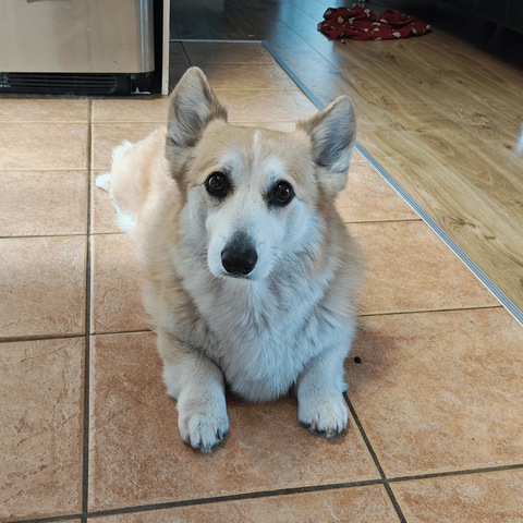 Floof today