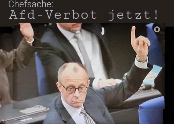 Merz mit erhobenem Zeigefinger, spruch:
Chefsache: Afd-verbot jetzt!