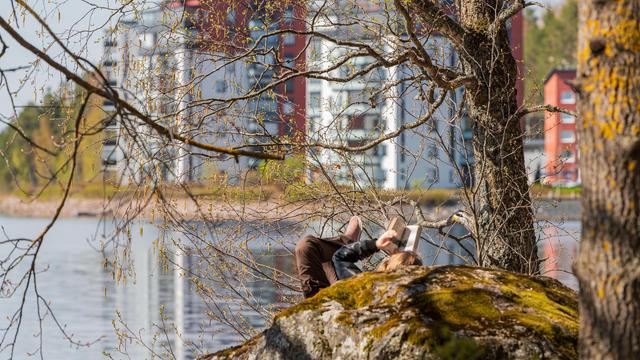 The image shows a person lying on a moss-covered rock by a body of water, reading a book. In the background, there are buildings with trees around them. The scene appears peaceful and scenic, with branches of trees in the foreground.