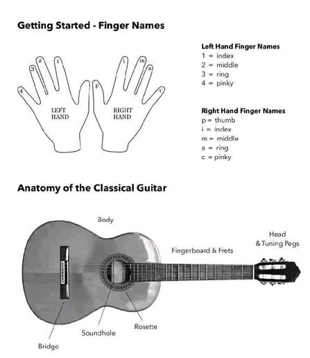 The image is an educational guide for beginners on playing the classical guitar. It starts by showing the names of the fingers on both the left and right hands. For the left hand, the fingers are labeled as 1 (index), 2 (middle), 3 (ring), and 4 (pinky). For the right hand, the fingers are labeled as p (thumb), i (index), m (middle), a (ring), and c (pinky). The second part of the image illustrates the anatomy of a classical guitar, labeling key parts: Body, Head & Tuning Pegs, Fingerboard & Frets, Rosette, Soundhole, and Bridge. This guide is essential for understanding basic finger names and guitar components before learning to play.