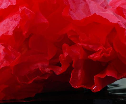 A large part of a poppy flower in top view, lying on a wet piece of black glass. The flower looks like a painting