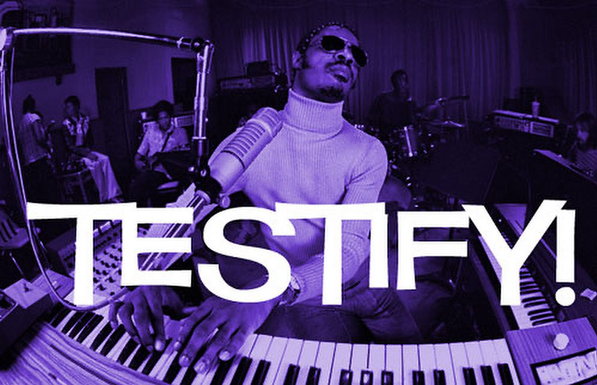 Stevie Wonder
